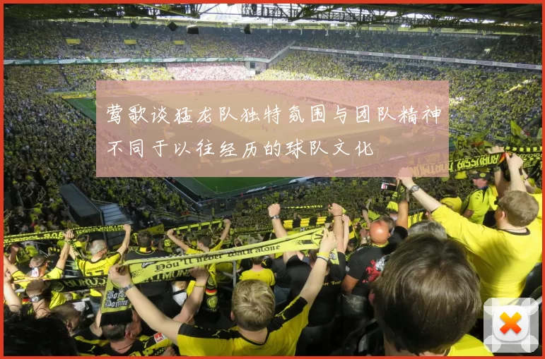 莺歌谈猛龙队独特氛围与团队精神不同于以往经历的球队文化