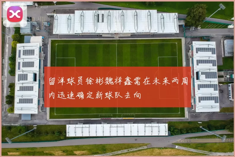 留洋球员徐彬魏祥鑫需在未来两周内迅速确定新球队去向